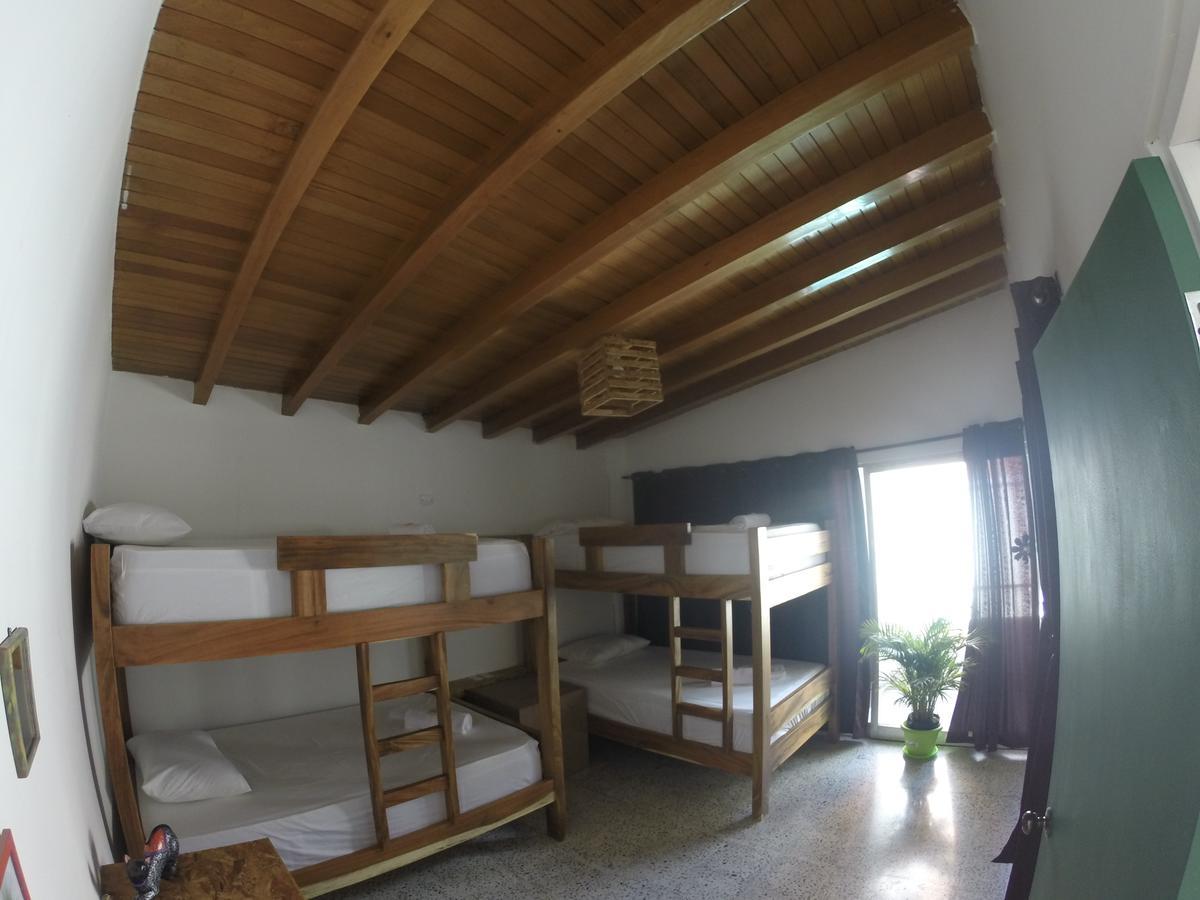 Forest Hostal