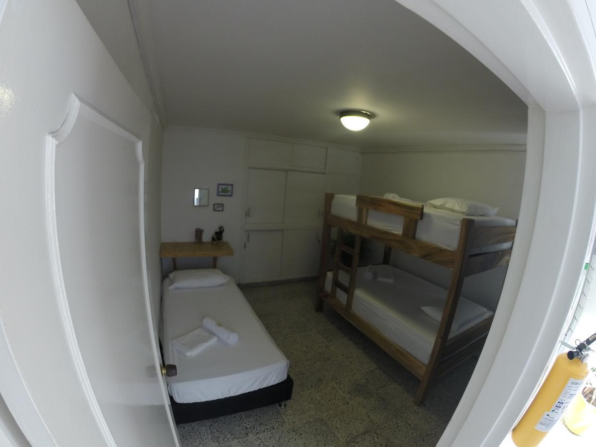 Hostal Forest