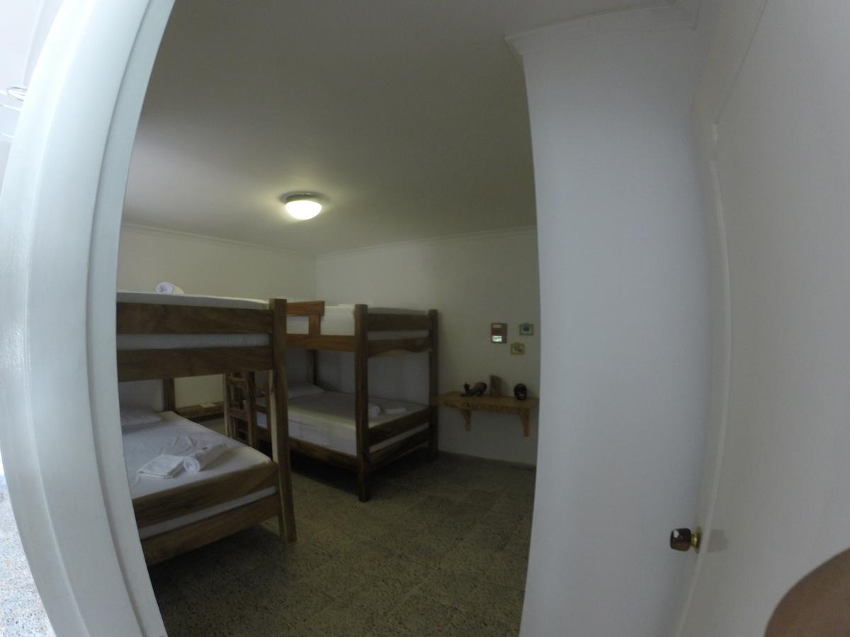 Hostal Forest