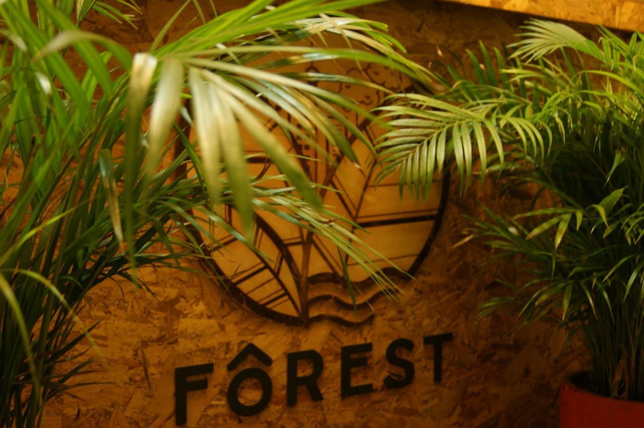 Forest *