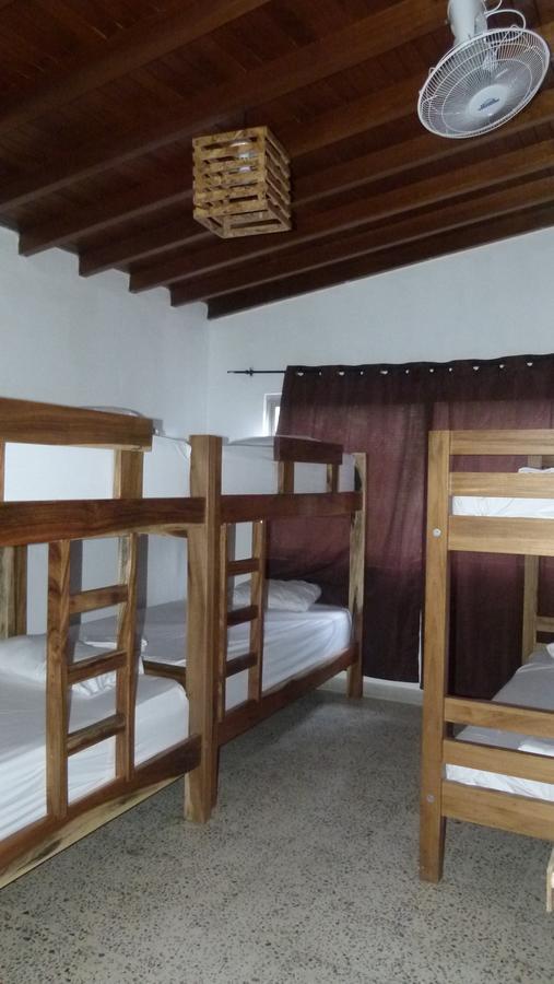Hostel Forest